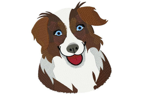 Australian Shepherd Portrait